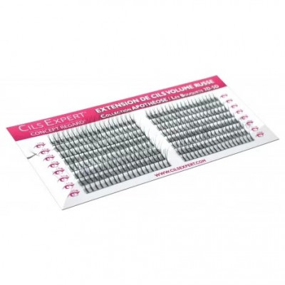 Cils Bouquet Volume Russe 3D Cils Bouquet Volume Russe 3D